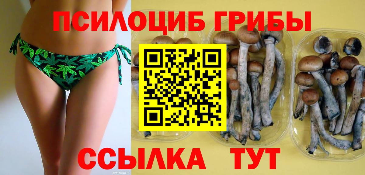 Псилоцибиновые грибы GOLDEN TEACHER  Галлюциногенные грибы Magic Shrooms  Чебоксары  Вход с VPN 